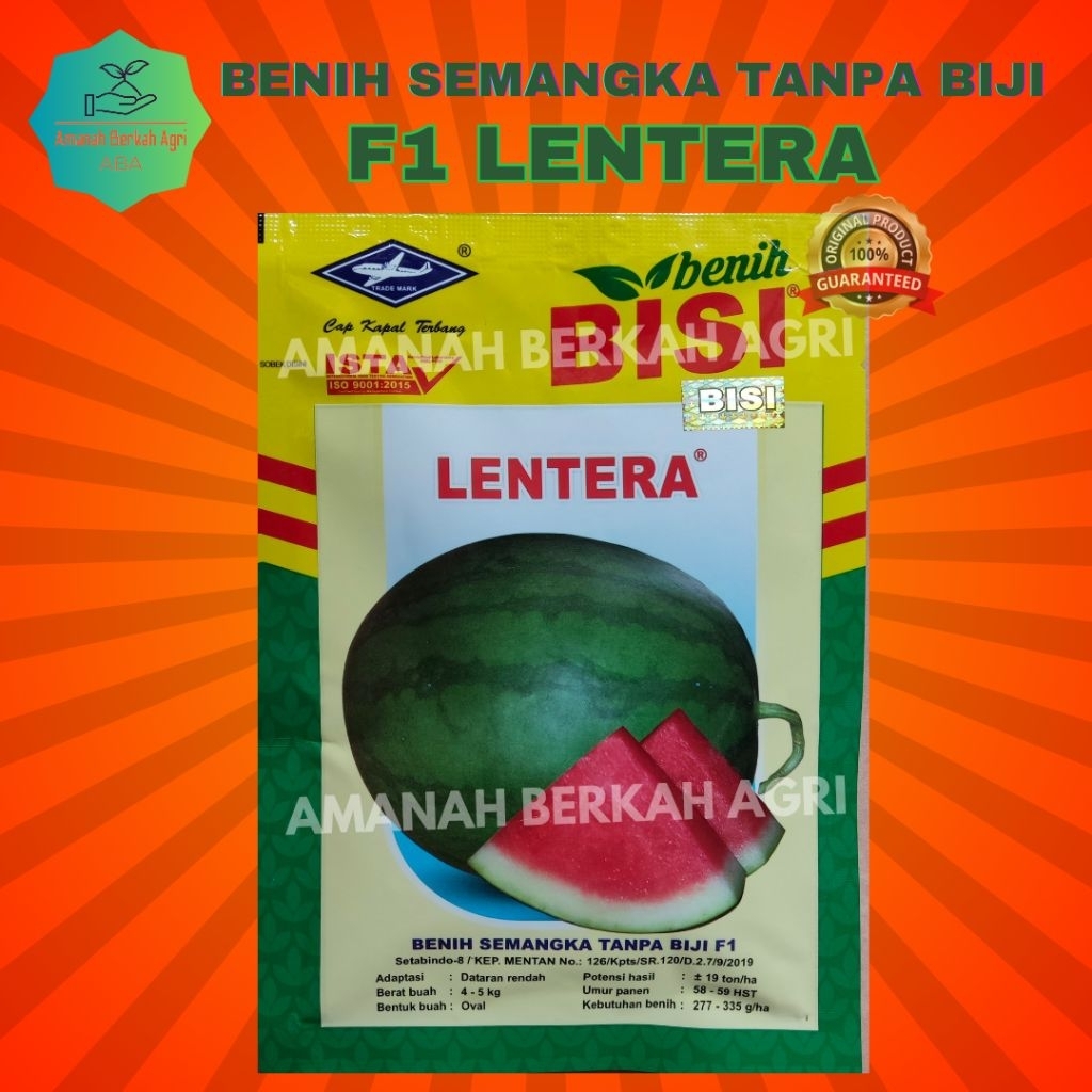 Benih Semangka Non Biji LENTERA 100% ORIGINAL