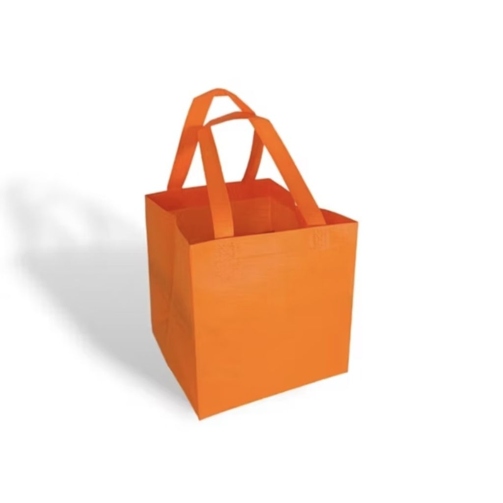 

Tas Spunbond Box 24 x 22 x 30 cm