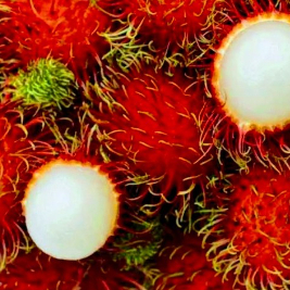 

rambutan manis