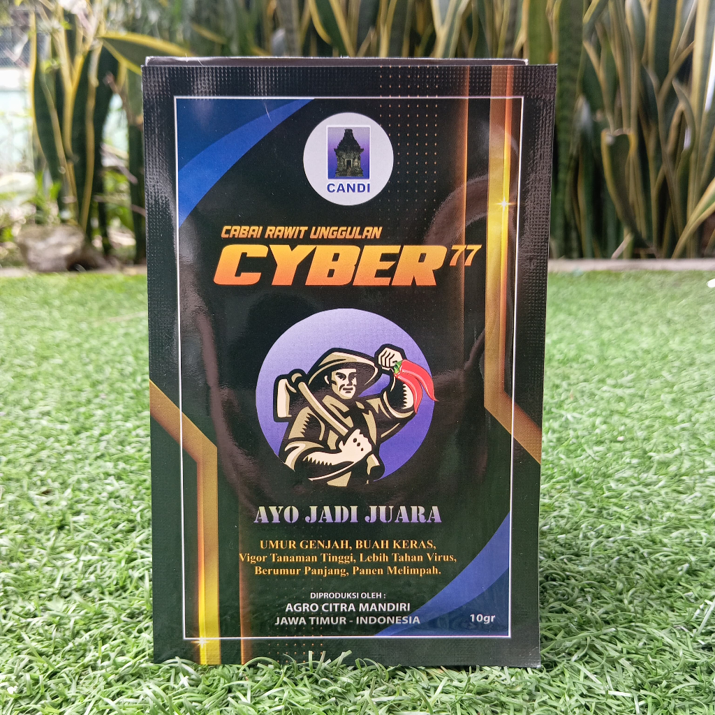 Benih Cabe Rawit CYBER 77 10 Gram
