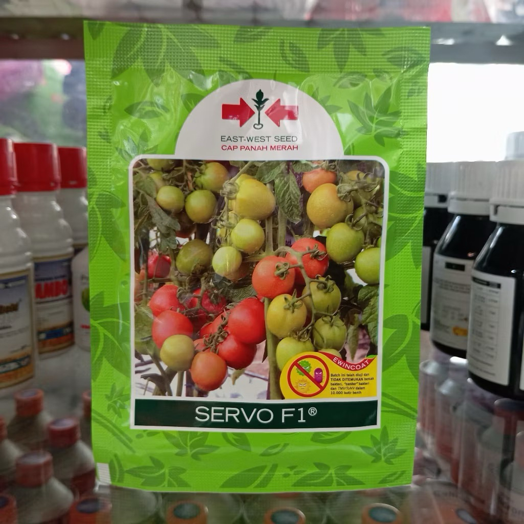 BENIH SERVO F1 1750 butir – BENIH TOMAT SERVO |  BIBIT TANAMAN TOMAT | BIBIT TOMAT | BENIH SAYUR TOM