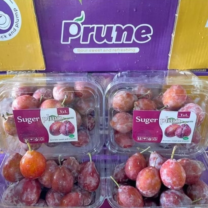 

Buah plum merah sugar plum mini