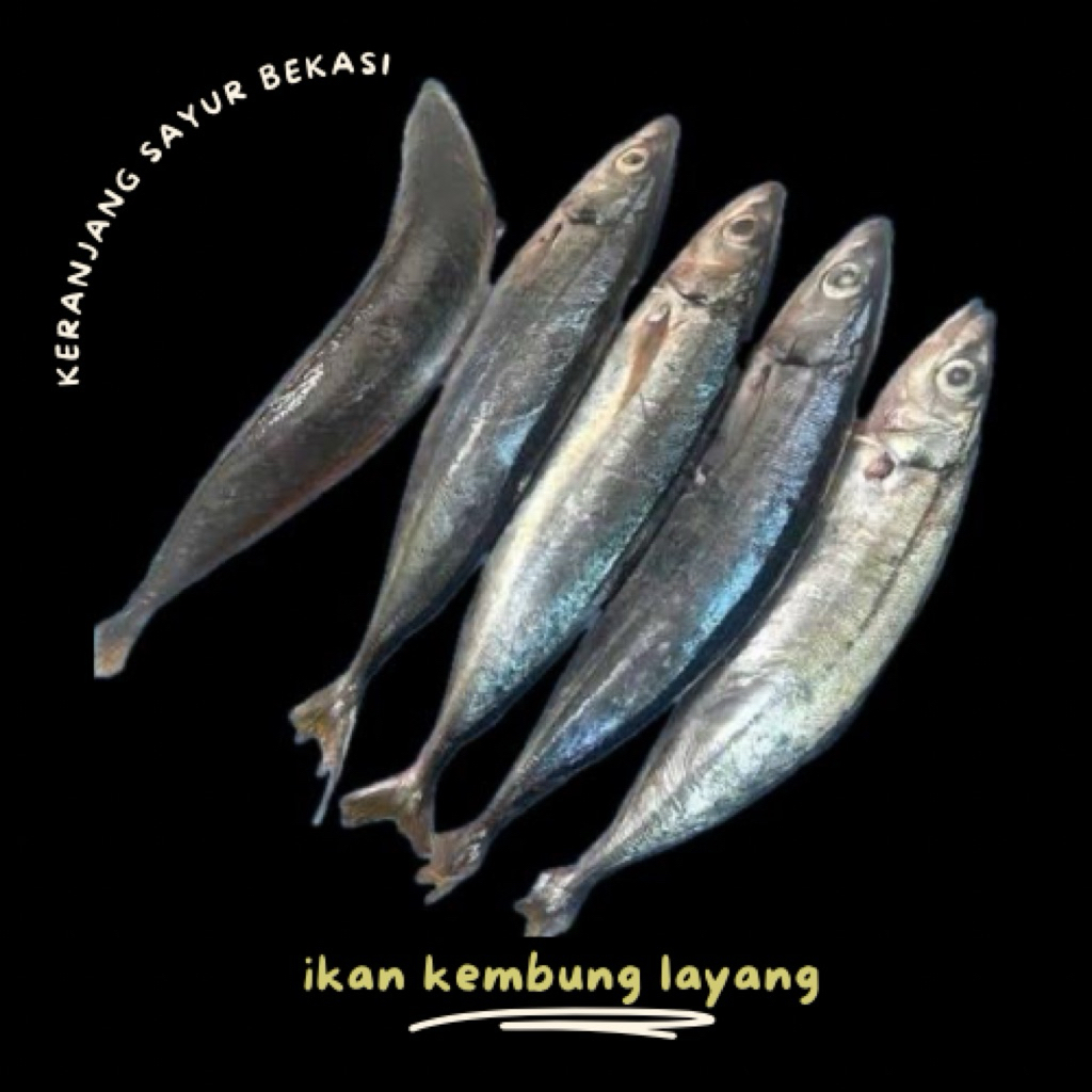 ikan kembung layang