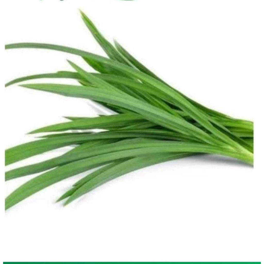 

daun pandan 1 ikat =100gr bisa lebih