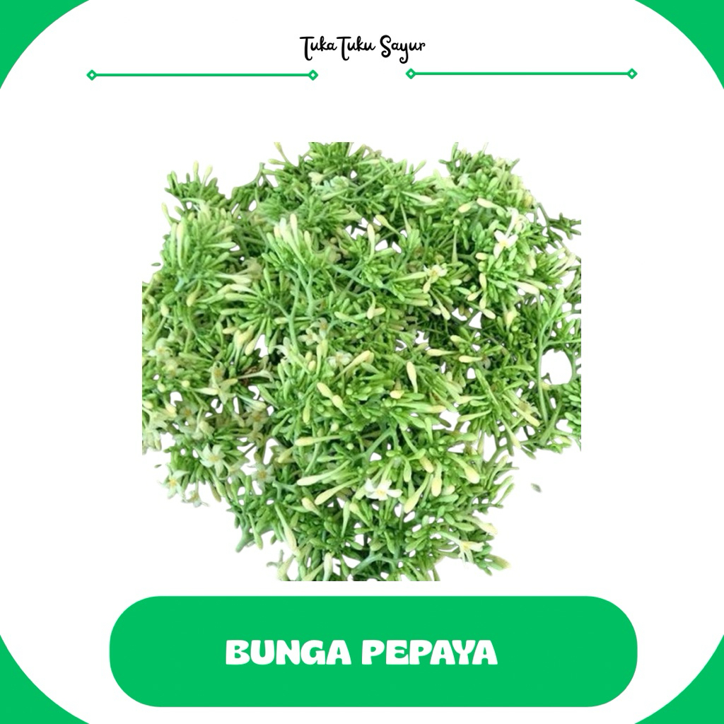 

BUNGA PEPAYA SEGAR PER BUNGKUS - TukaTuku Sayur