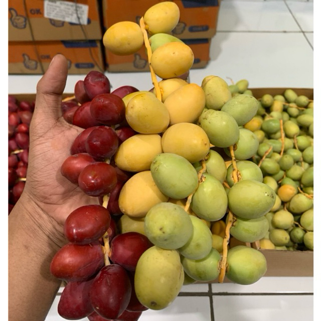 

Kurma Muda Barkhee Premium – Fresh Sweet Dates | Pre Order| Program Hamil & Kesehatan | (250gr-1kg)d