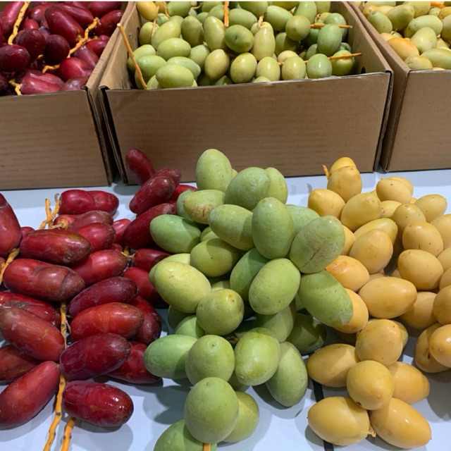 

Kurma Muda Barkhee Premium – Fresh Sweet Dates | Pre Order | Program Hamil & Kesehatan (1kg - 3kg)