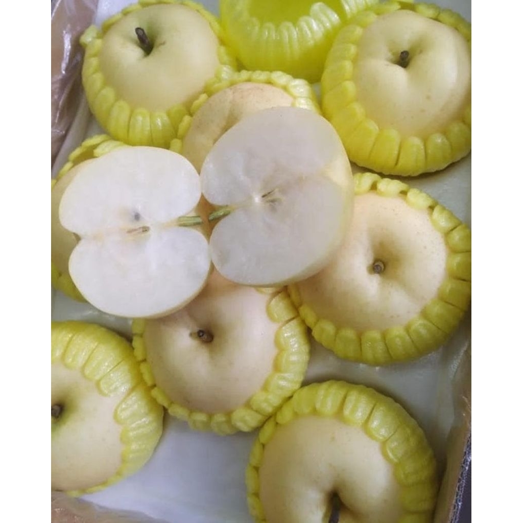 

Buah Pear Golden Manis Halus Banyak Air