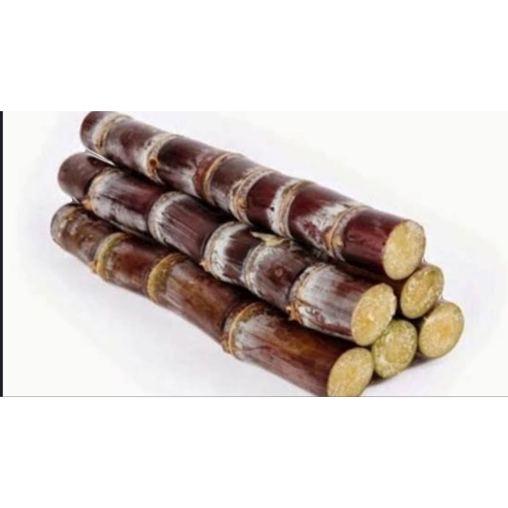 

Tebu Konsumsi kecil (ukuran 5 cm ) per pcs - TOKO BARHAS