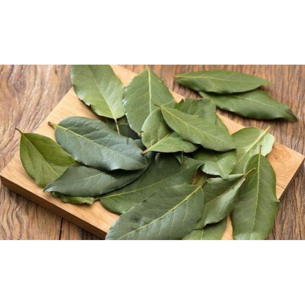 

Daun Salam/50 lembar