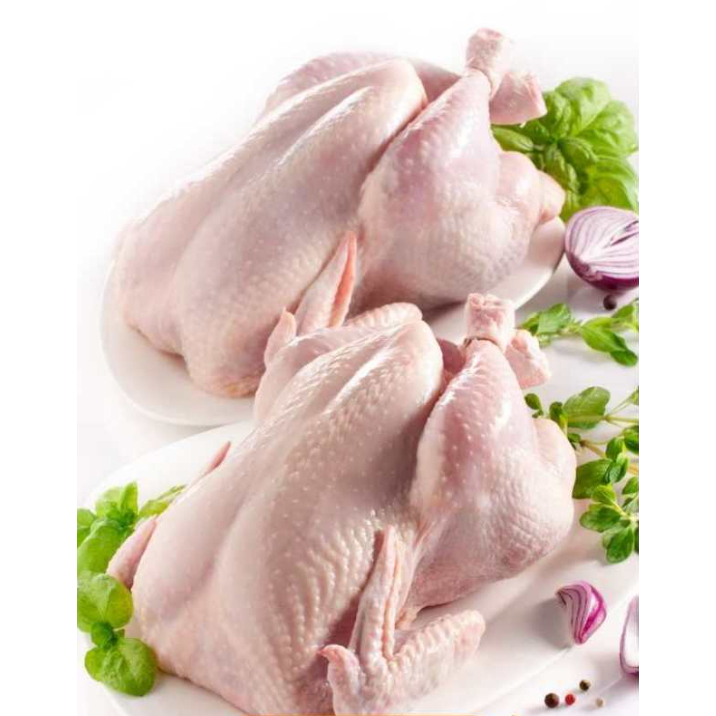 

Ayam broiler utuh karkas 0,9 - 1kg