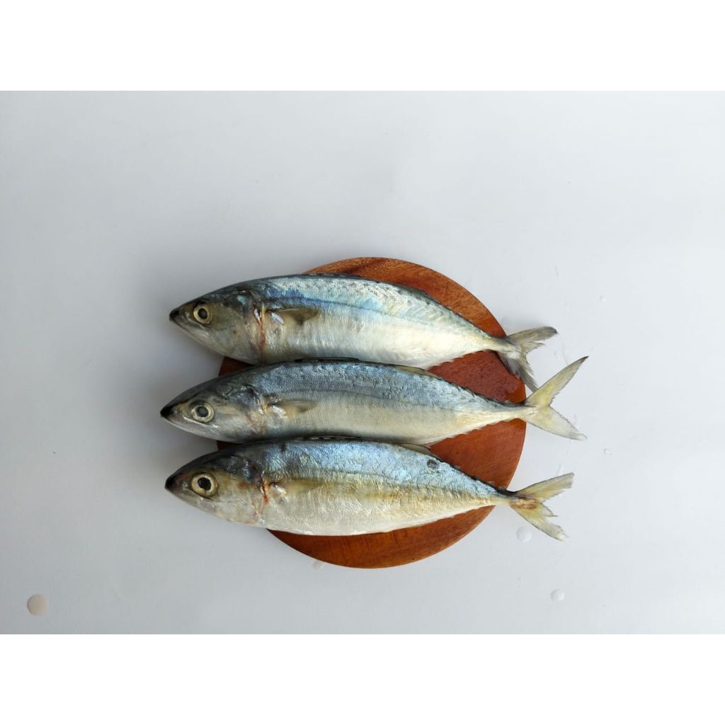 

Ikan Kembung Segar 1 Kg