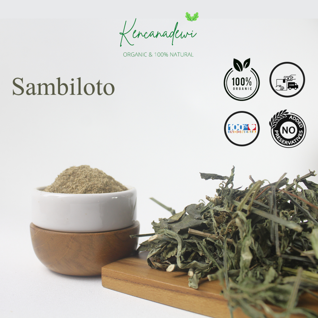 

Daun Sambiroto / Sambiloto Kering