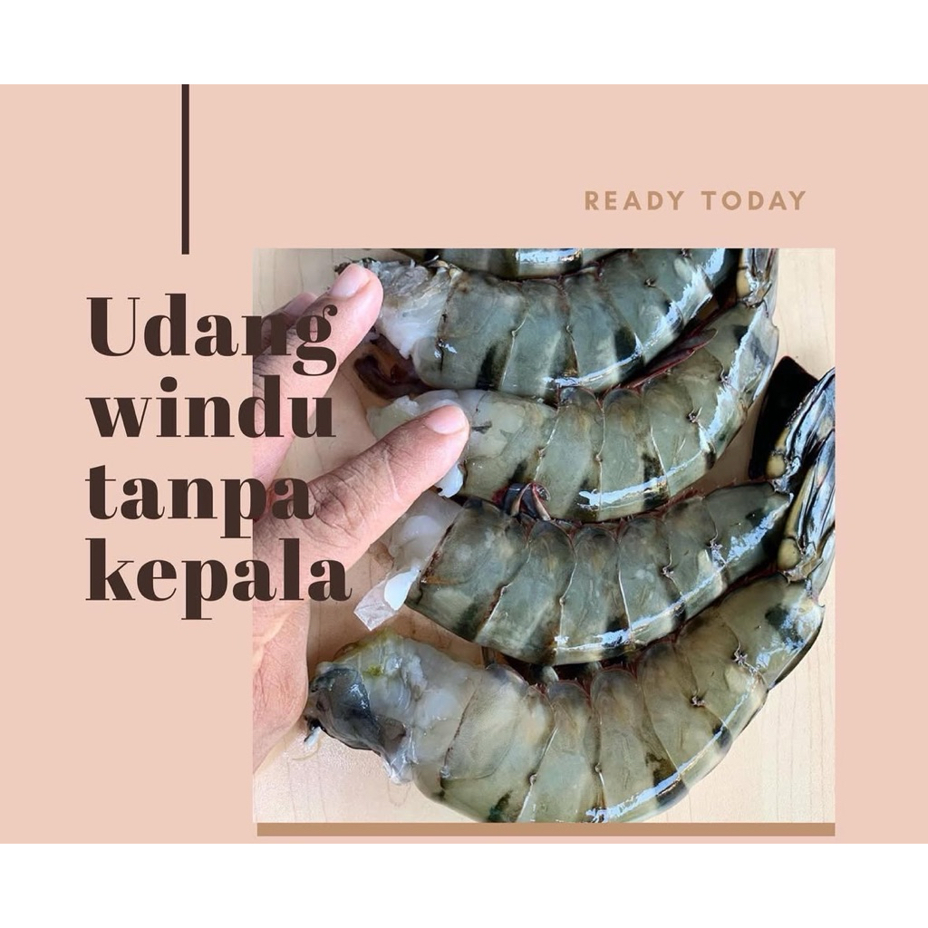 udang windu jumbo tanpa kepala