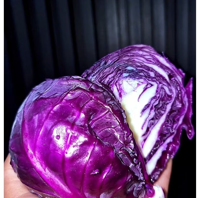 

Kol Ungu / Kubis Ungu segar