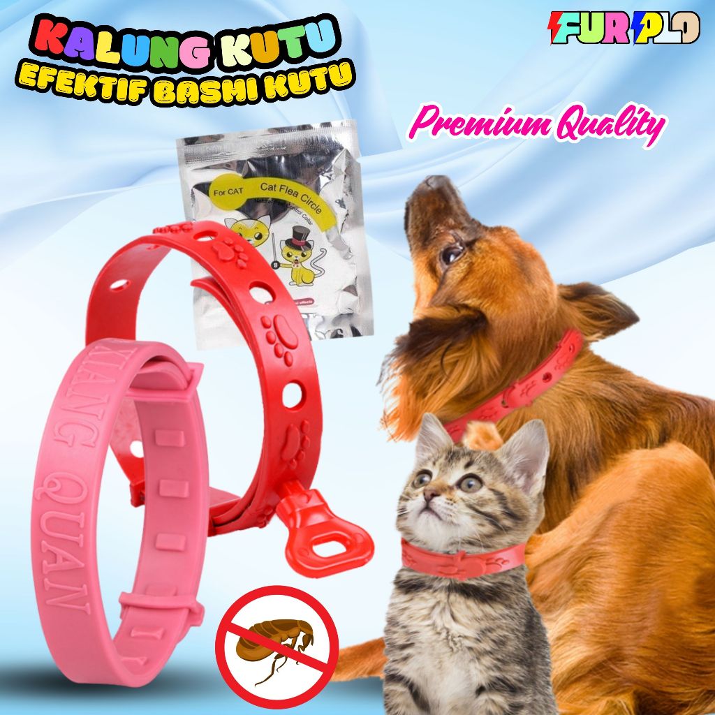 KALUNG PUTIH ANTI KUTU ANTI NYAMUK Flea Tick Cat Kalung Kucing Anjing Murah Lucu Untuk Kitten Akseso