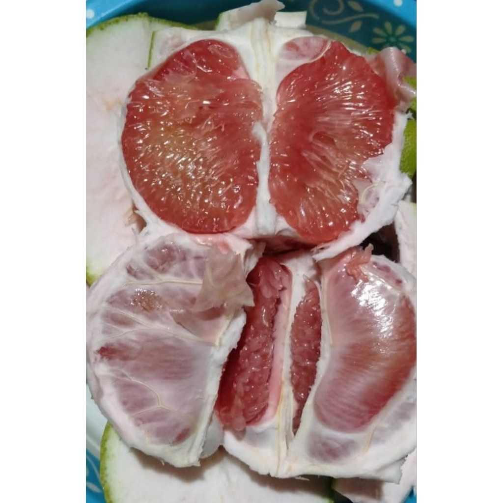 

promo jeruk pamelo madu Muria berat 900-1100 gram jaminan manis bergaransi