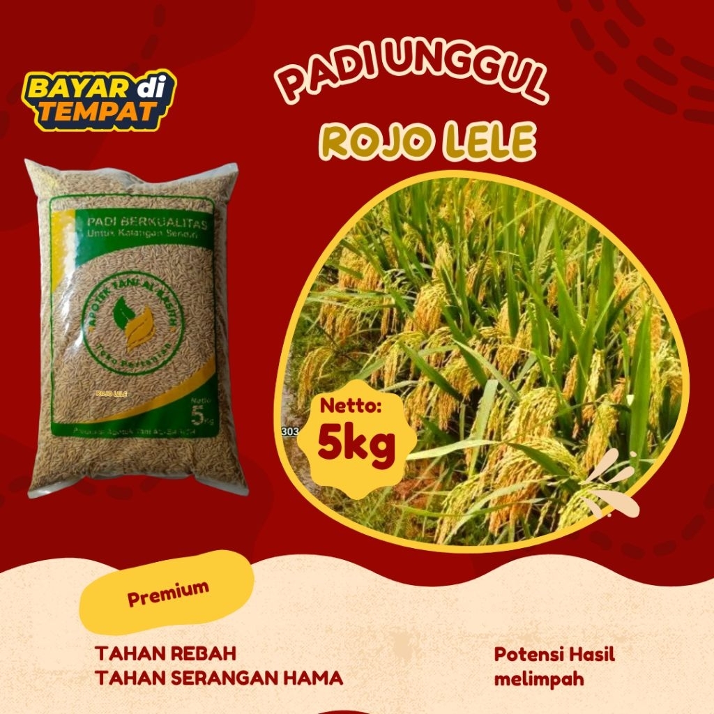 

BENIH PADI ROJO LELE ORIGINAL KEMASAN 5KG