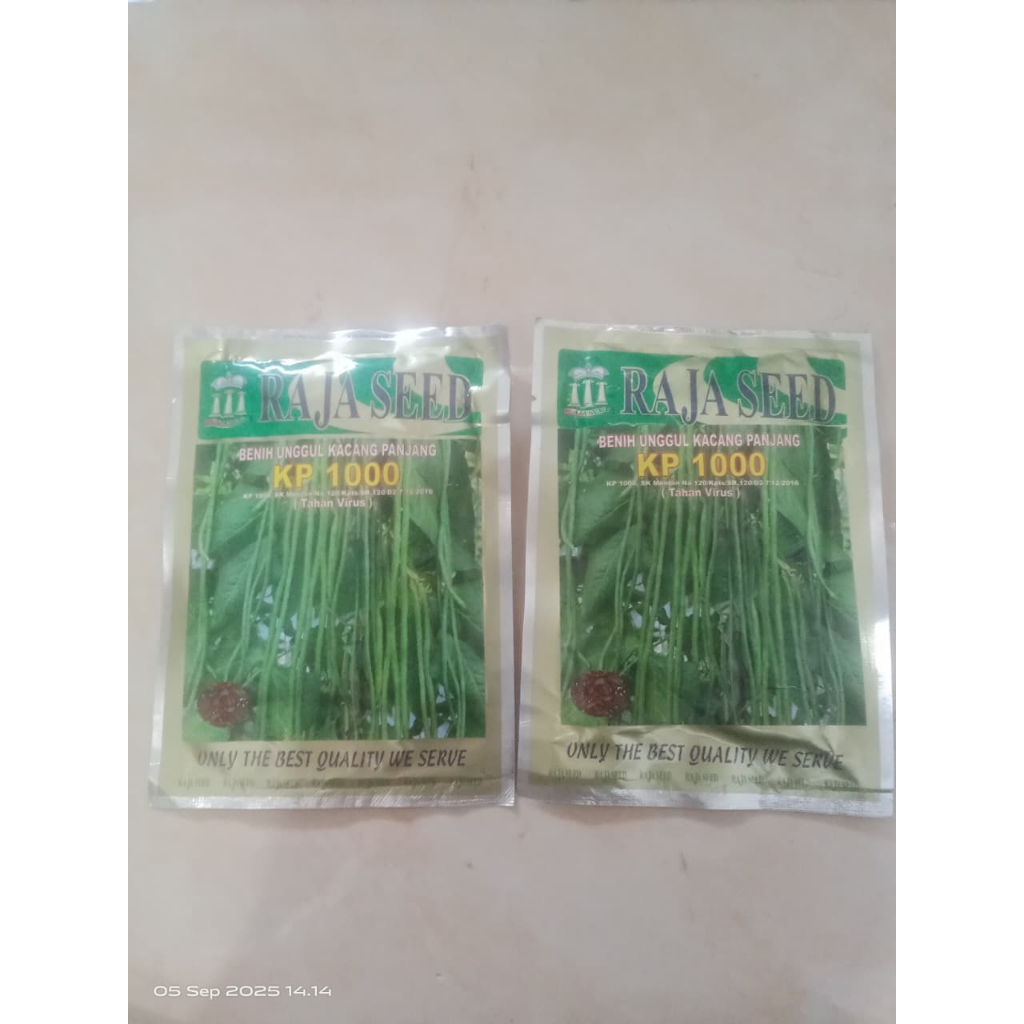 

Raja Seed KP 100 Kacang Panjang
