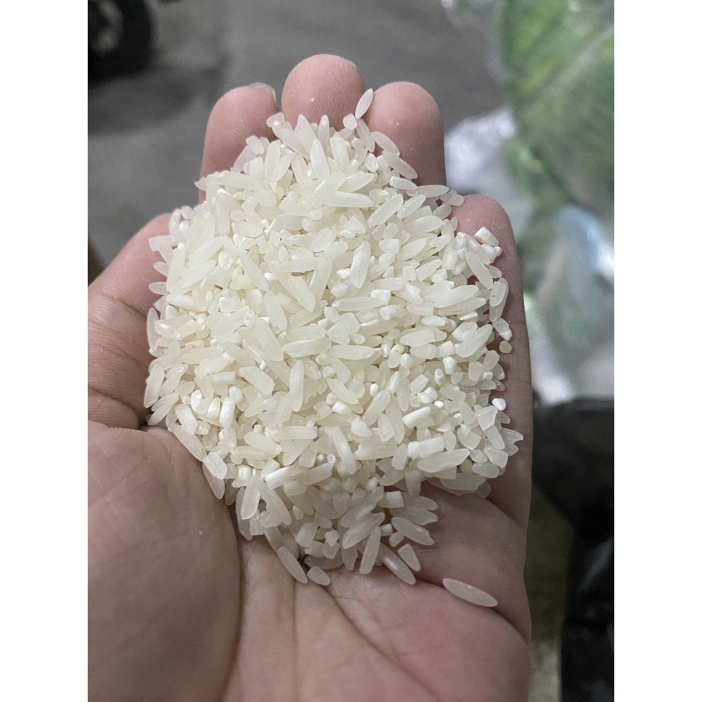 

Instan Only - Beras Lokal Selep 1sak Harga Tertera