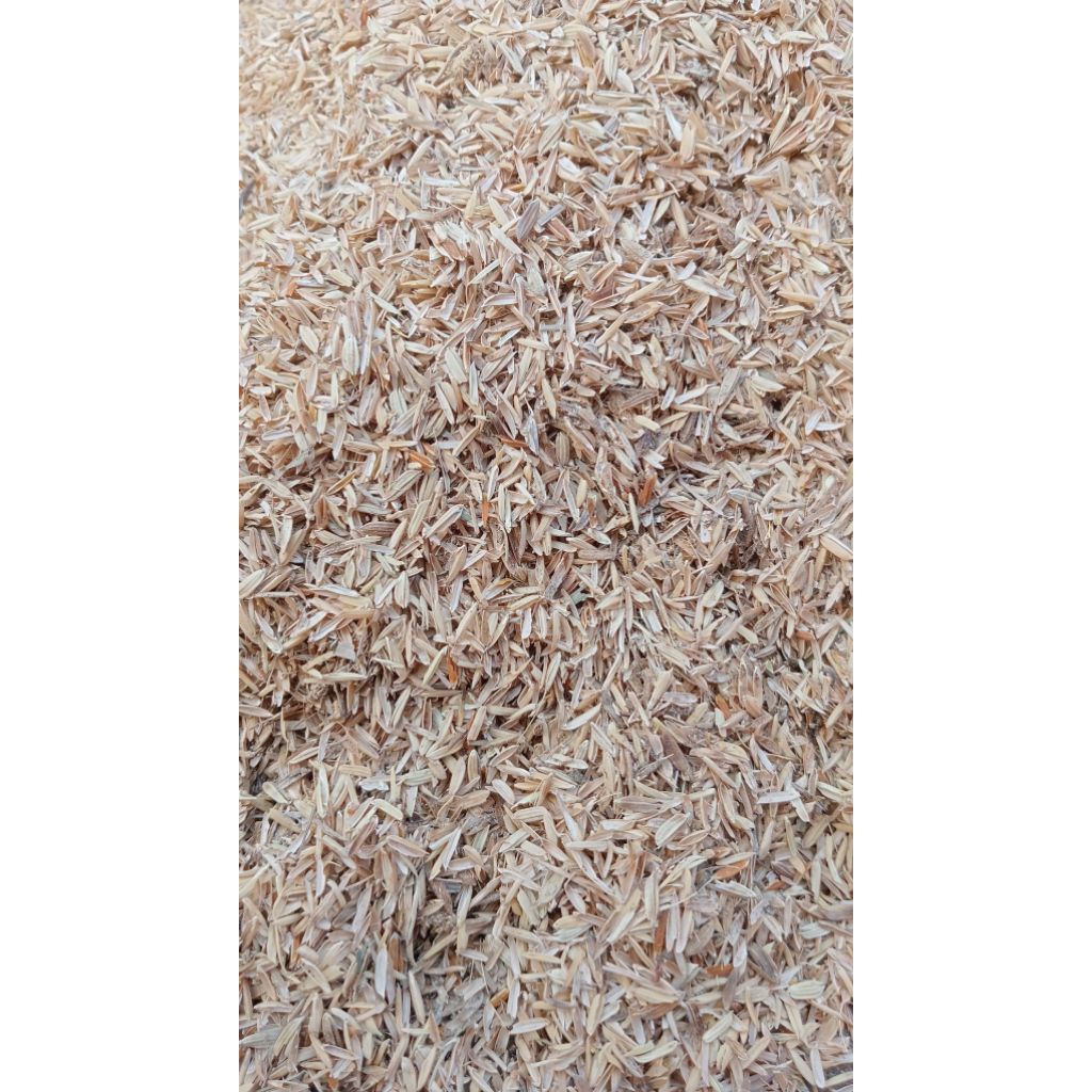 Sekam padi - merang padi -merang mentah| media tanam | alas kotoran ayam |