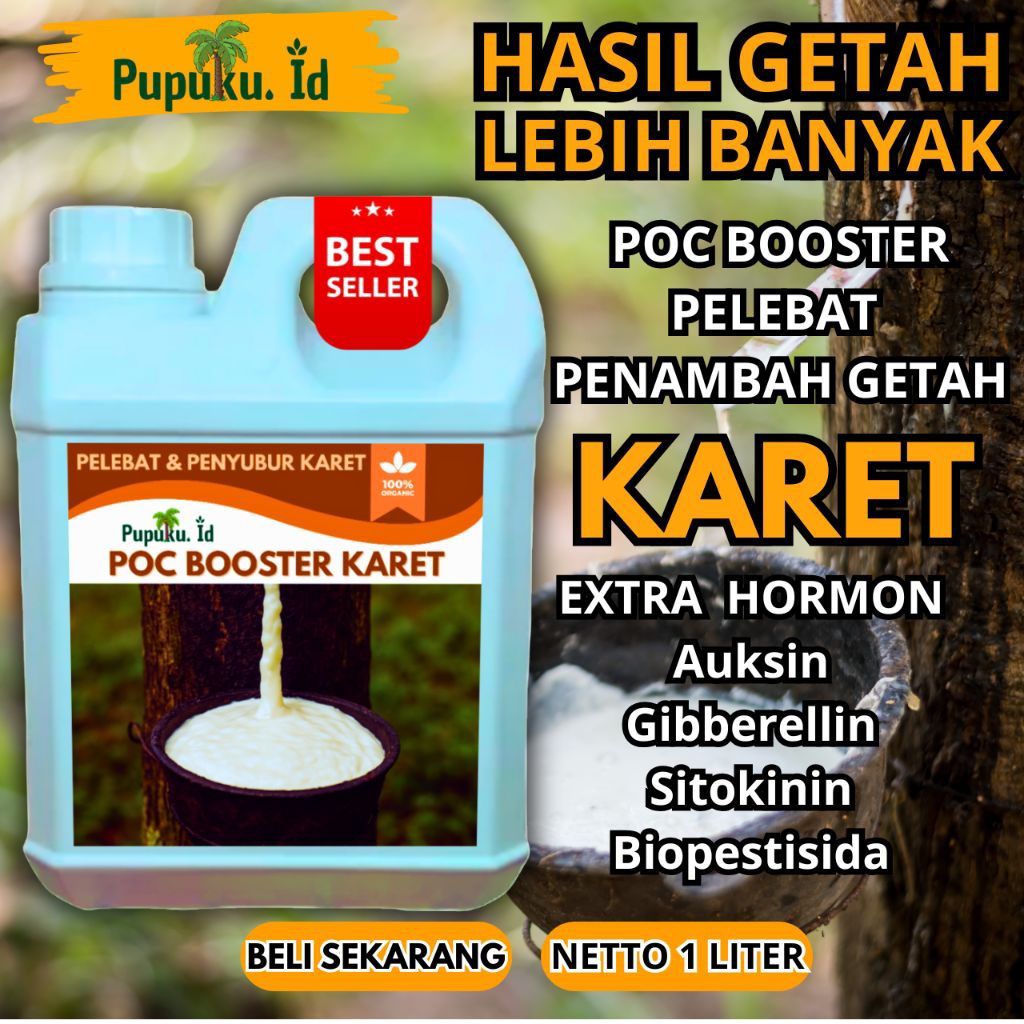Pupuk karet penambahan getah | pupuk getah karet mati | pupuk tanaman karet | pupuk karet mati getah
