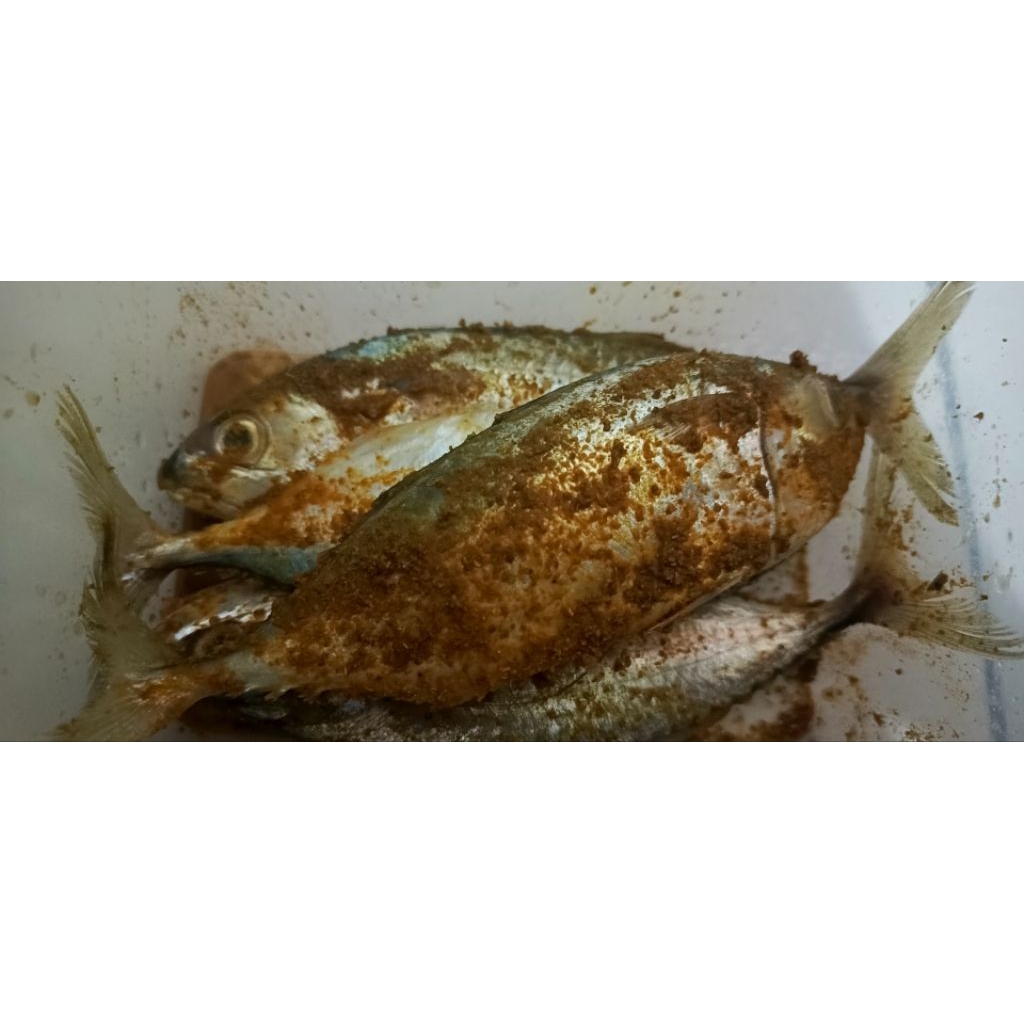 

ikan kembung marinasi 500gr kemasan thinwall