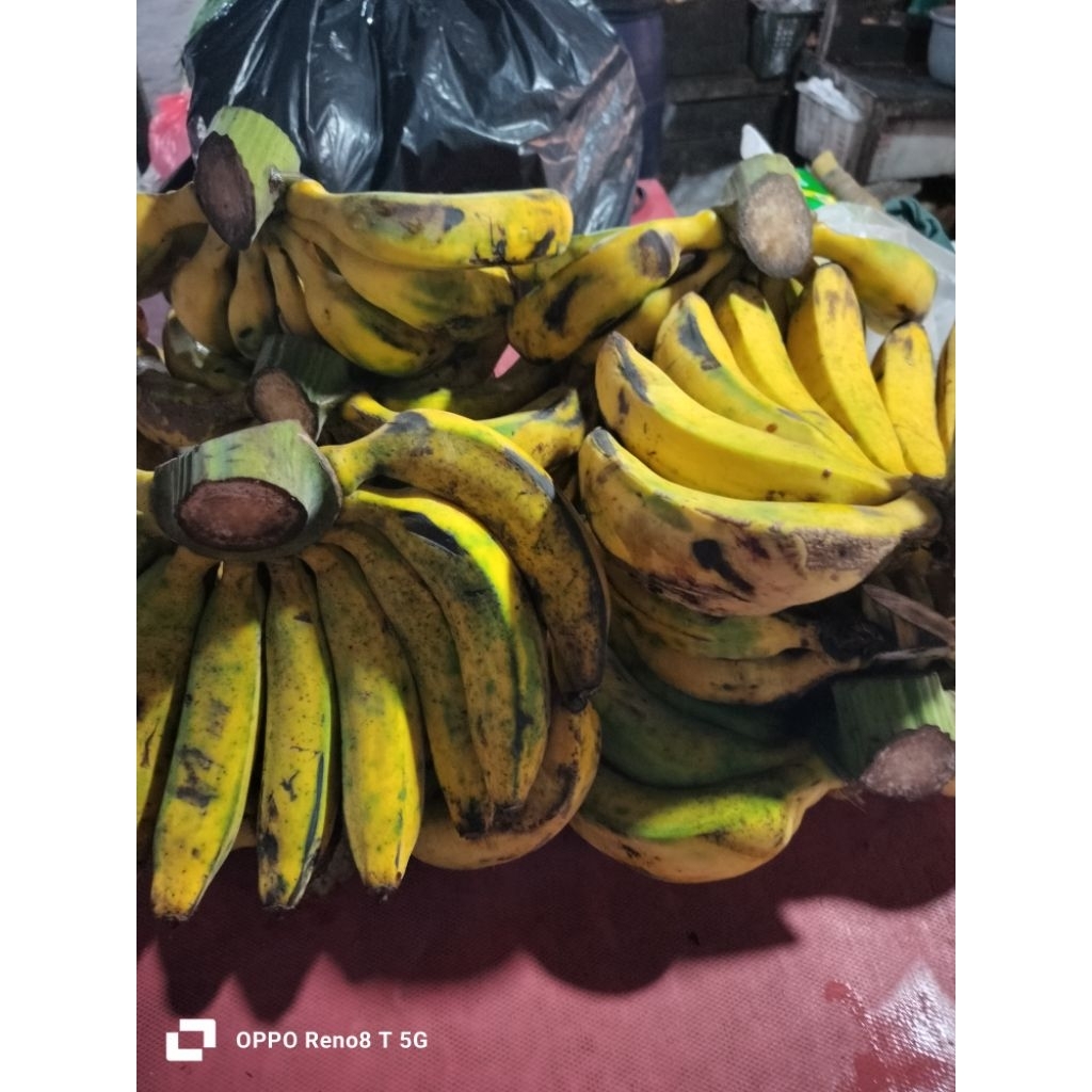 

pisang raja 1sisir