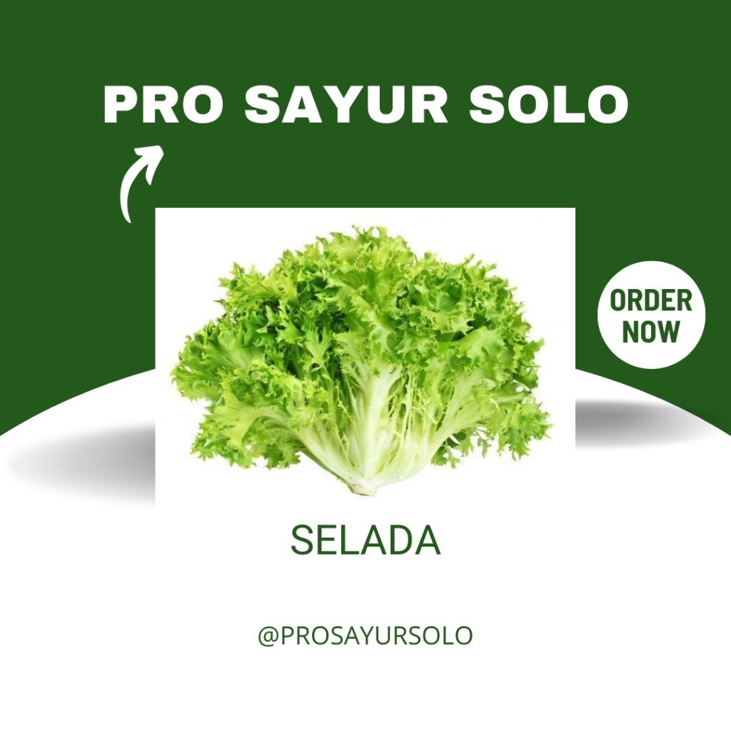 

Selada Hidroponik 200gr & 500gr