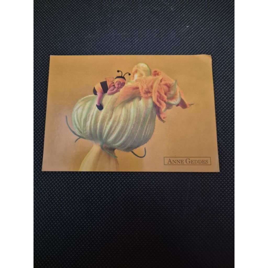 kartu pos anne geddes ilustrasi/illustration postcard