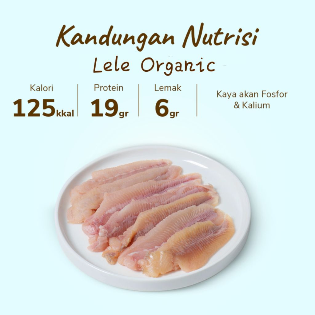 

Filet ikan lele organic fresh 1kg