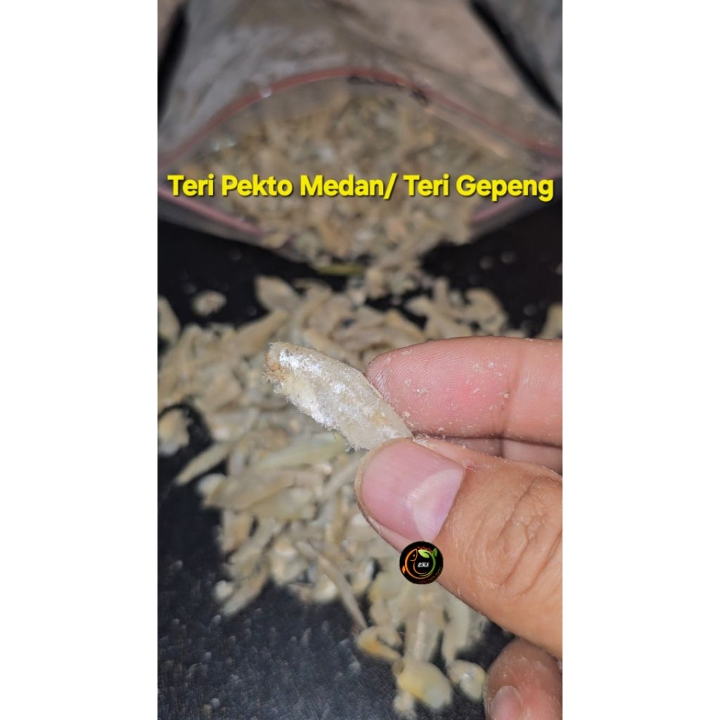 

[ TERJANGKAU ] TERI PEKTO MEDAN / TERI GEPENG