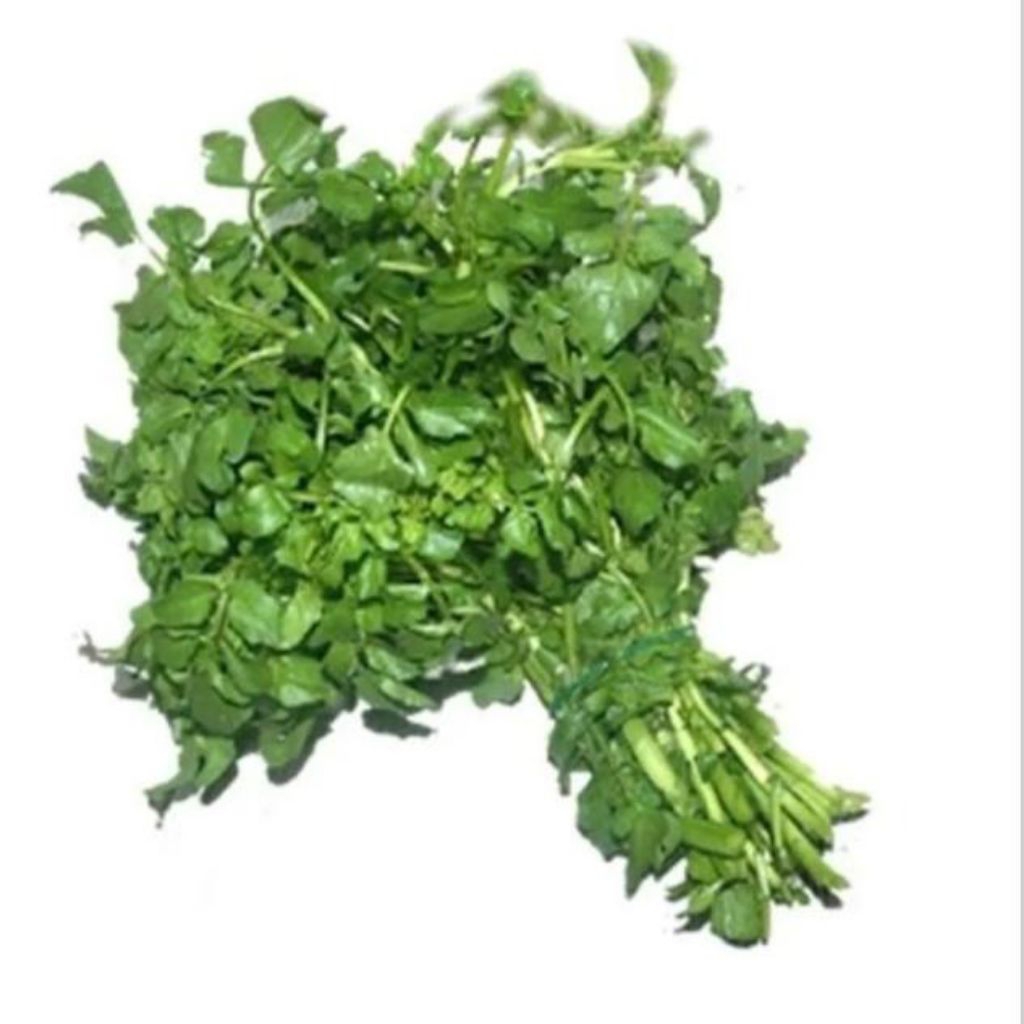 

selada air segar /ikat