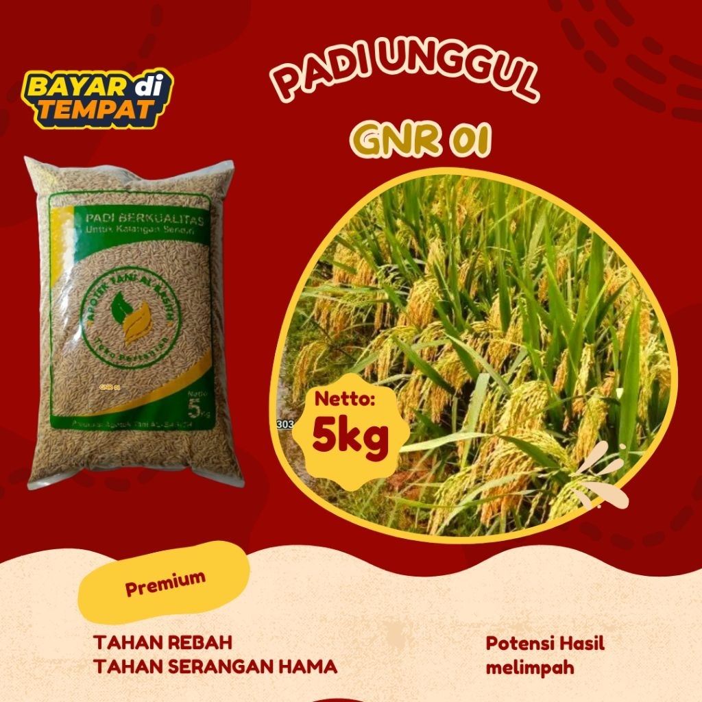 

BENIH PADI GNR 01 ORIGINAL KEMASAN 5KG