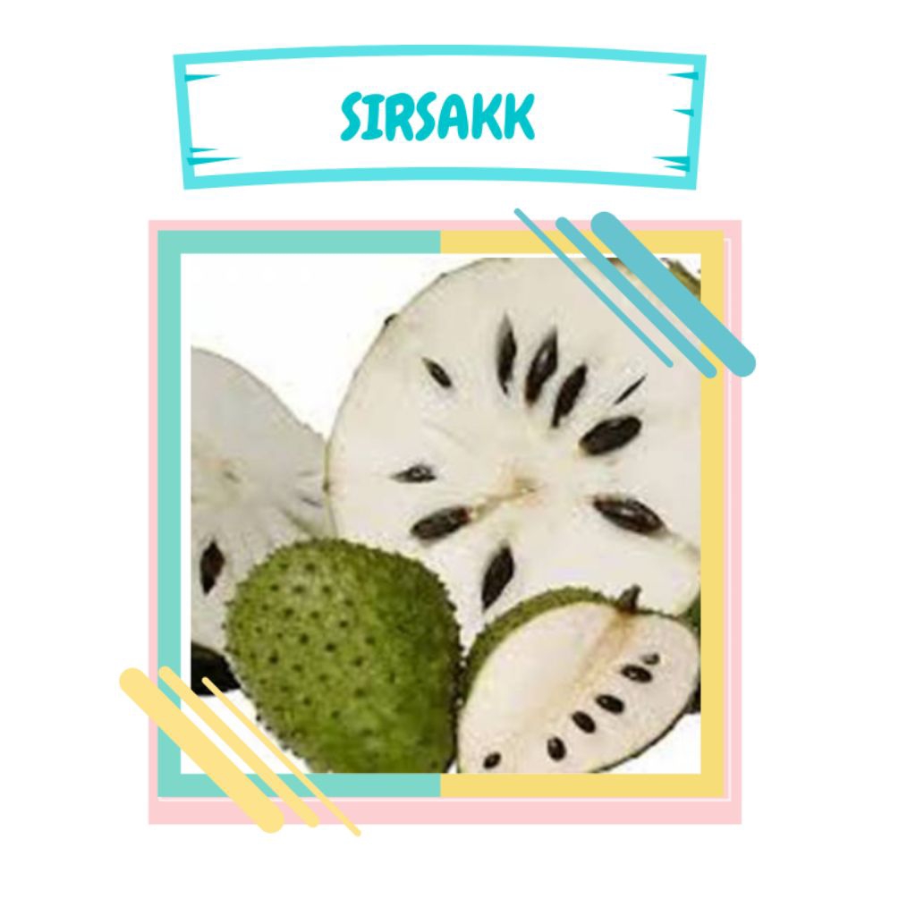 

buah sirsak perkg murah