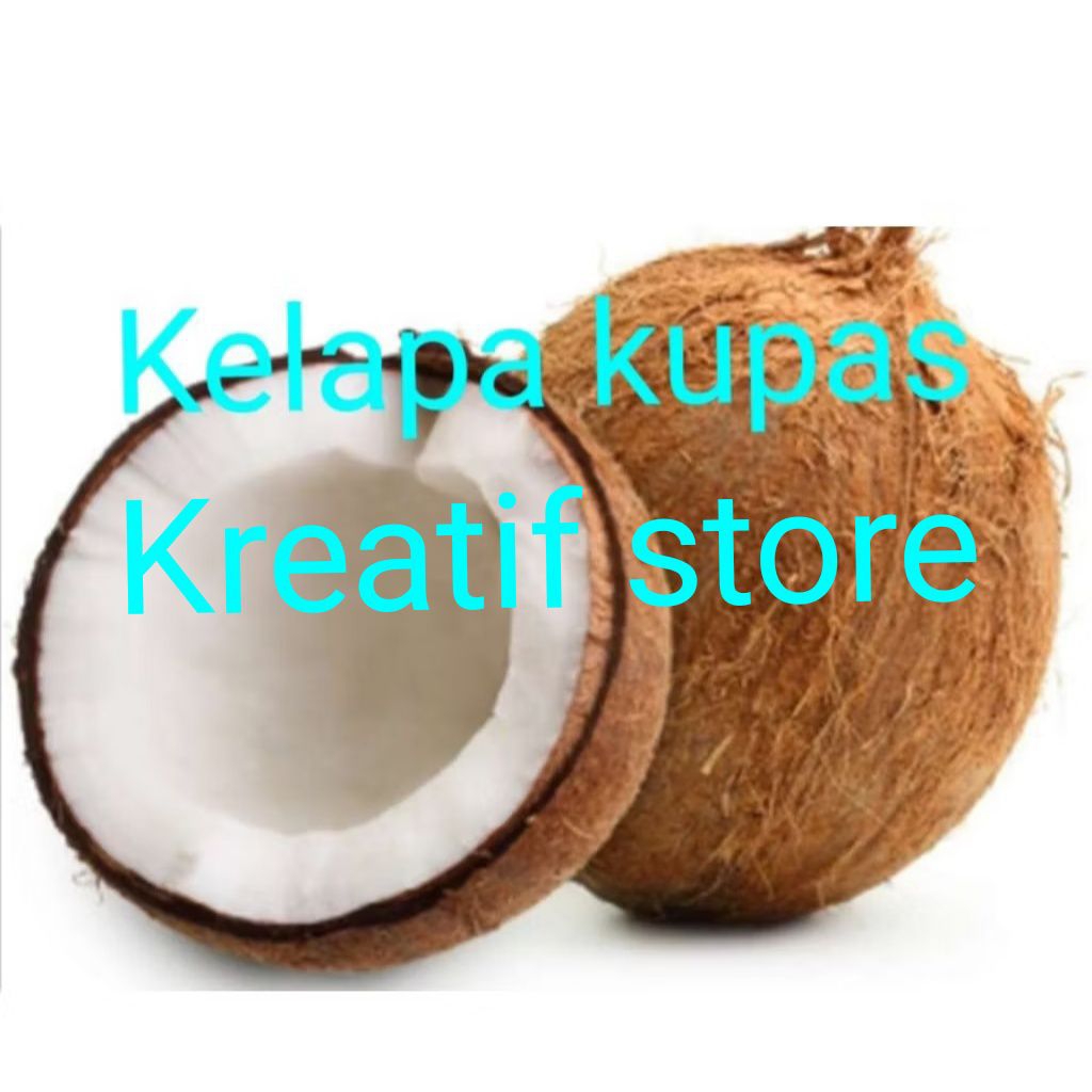 

BUAH KELAPA TUA SUDAH KUPAS/BULAT UTUH/BAHAN OLAHAN/"KREATIF STORE