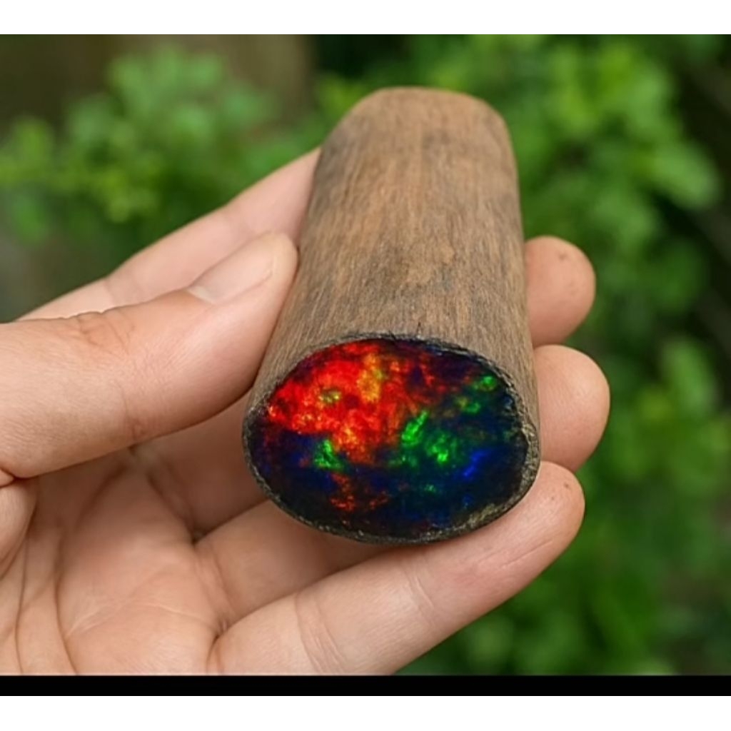 BAHAN SEMPUR RUYUNG MERAH