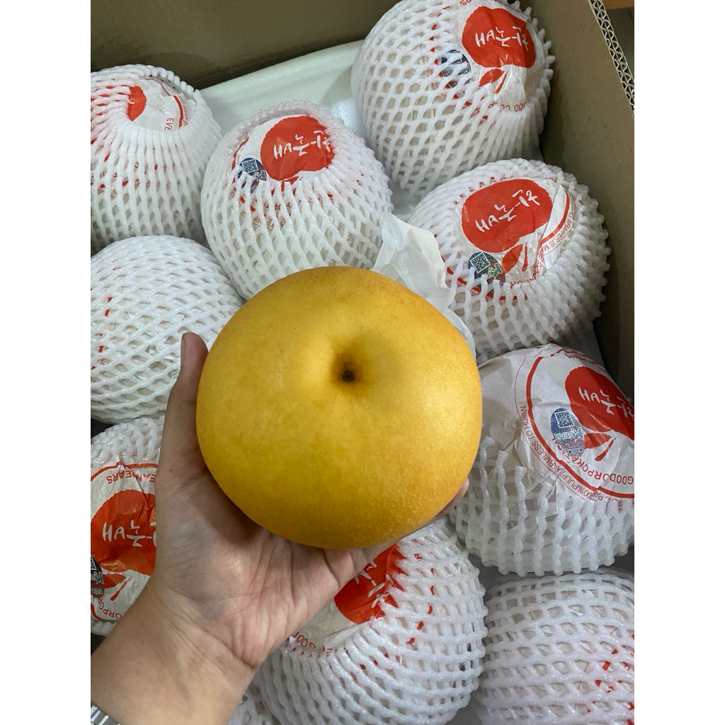 

BUAH PEAR KOREA ASLI DARI KOREA (KULIT MULUS, PUTIH BENING, TERMURAH)