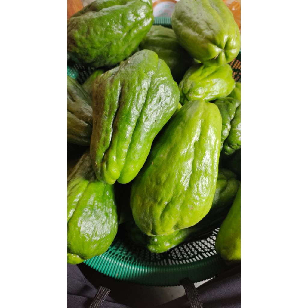 

TERLARIS Labusiam fresh 1kg / langsung dari petani