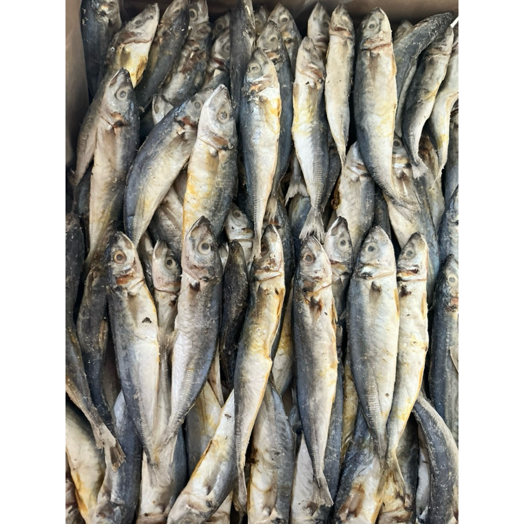 

Ikan Asin layang kualitas premium 500gram Asli Tuban