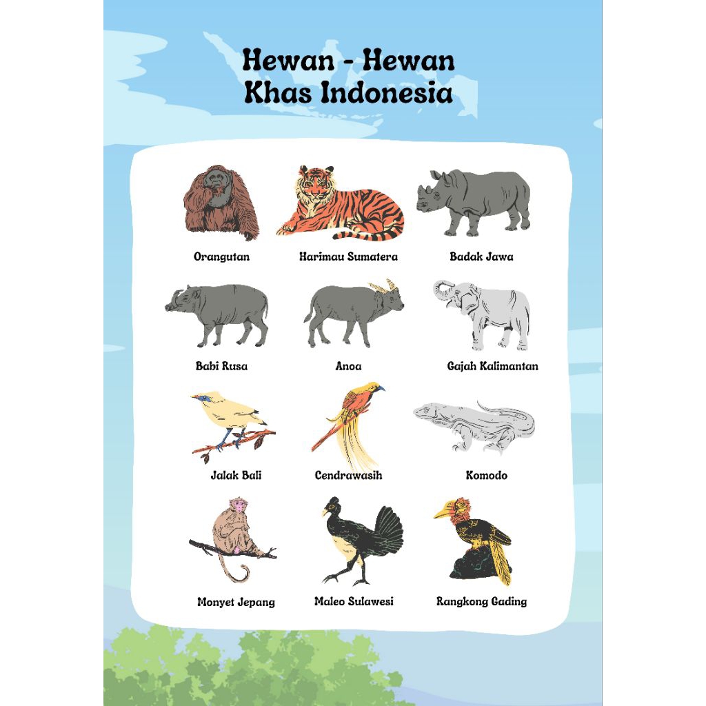 POSTER EDUKASI HEWAN LANGKA INDONESIA - Wall Decor Anak Ruang Kelas Kamar - HIASAN DINDING Unik Este