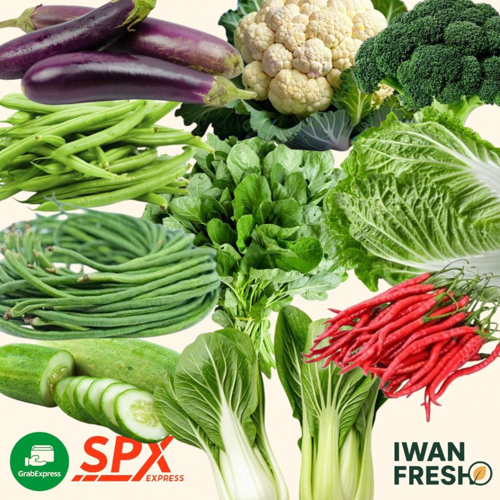 

Aneka Sayuran Segar Denpasar / Fresh Vegetables Bali