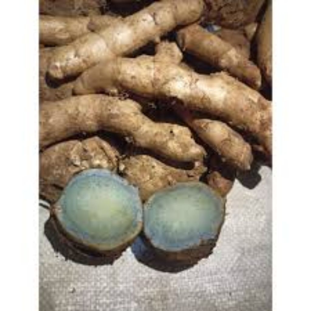 

temu irang_kuyit_ireng_segar_bersih_fres_500gr_1000gr