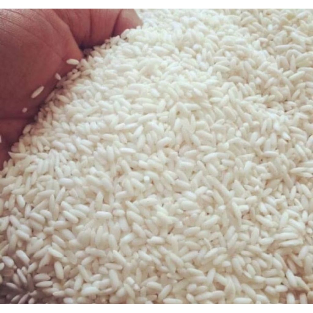 beras ketan putih kampung/beras pulut putih kampung wangi dan berkualitas (kemasan 250gr)