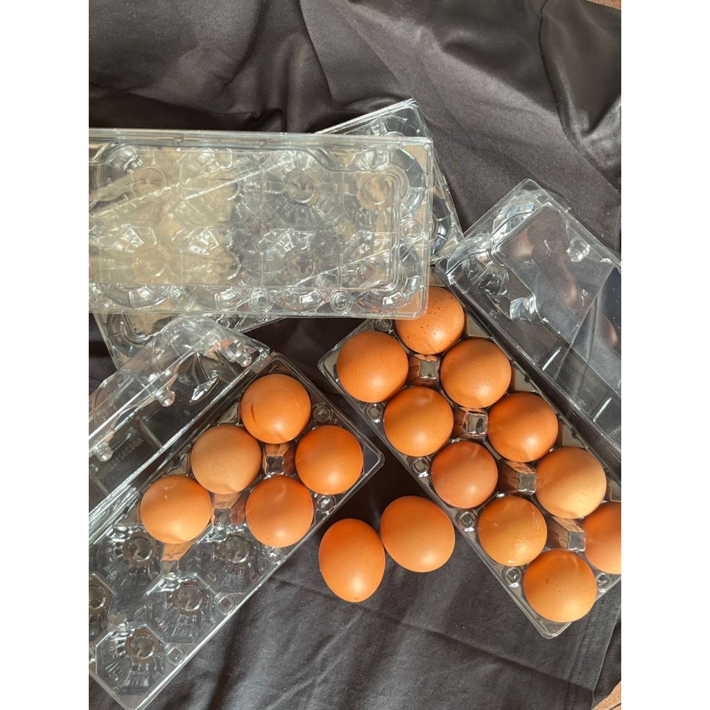 Mika Tray Telur ayam isi 10 bulat murah berkualitas dengan kancing