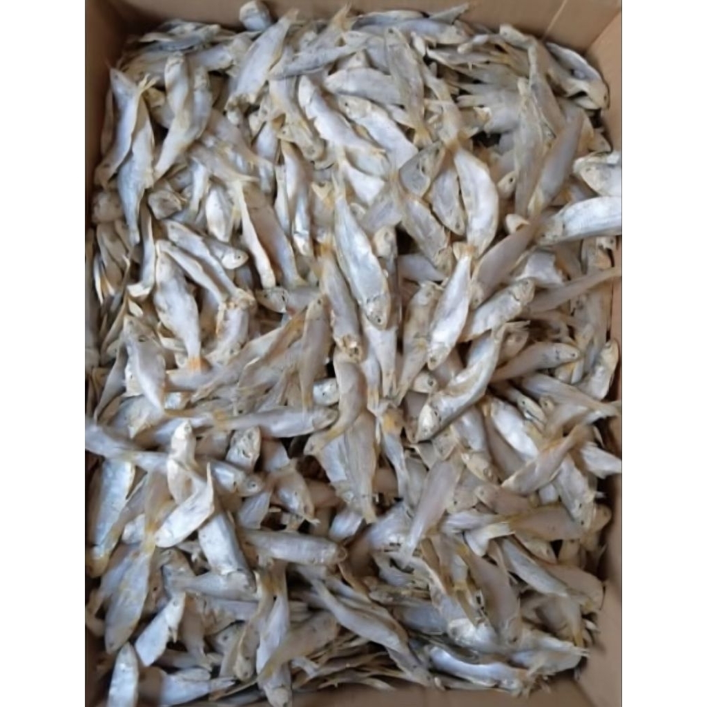 

Ikan Asin Bilis Ikan Asin Lempuk Ikan Asin Tipis Ikan Asin Kering