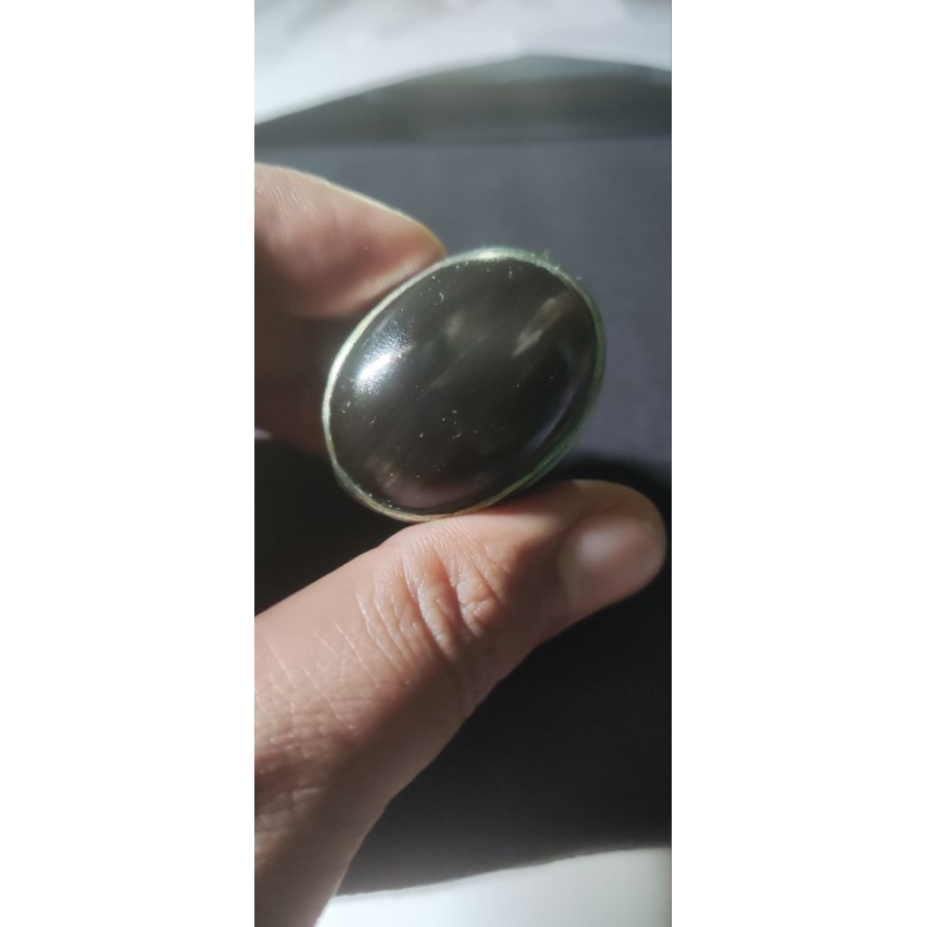 BATU FOSIL KELOR SERAT EMAS