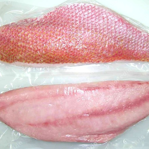 Ikan Kakap Merah Segar 1Kg Ikan Kakap Merah Fillet Premium