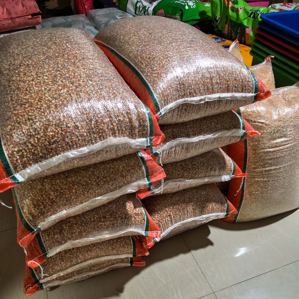 JAGUNG KERING PAKAN MAKANAN BURUNG AYAM BESAR KECIL PECAH MADURA UTUH PECAHAN BERSIH BAGUS KILOAN KI