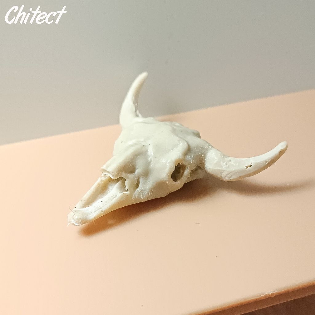 Accessories Diorama Miniatur Tengkorak Kepala Sapi/Banteng Skala 1/12 1/10 Kitbash Figma, SHF, Mafex